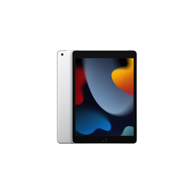 iPad 10,2"  Wi-Fi + Cellular 256GB - Silver