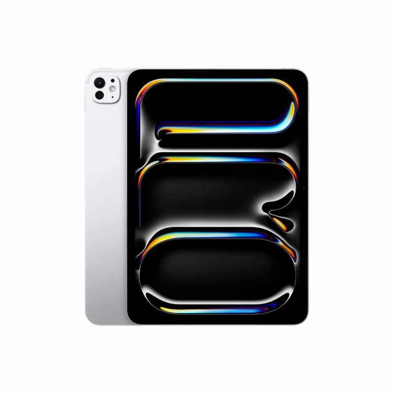 Apple iPad Pro 11 M4 WiFi 256GB with Standard glass - Silver