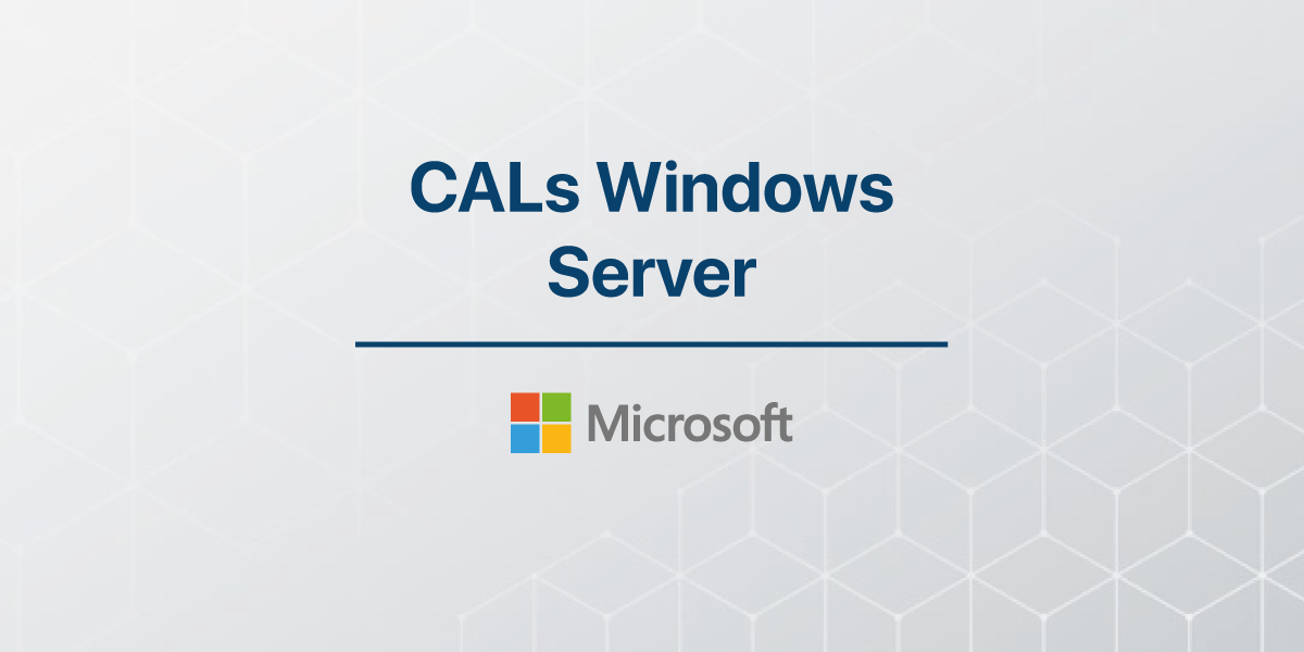 ¿Qué son las CALs de Windows Server?