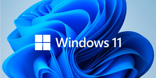 Windows 11 en Valorista